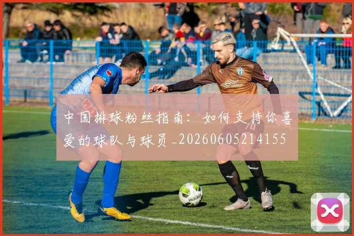 中国排球粉丝指南：如何支持你喜爱的球队与球员_20260605214155