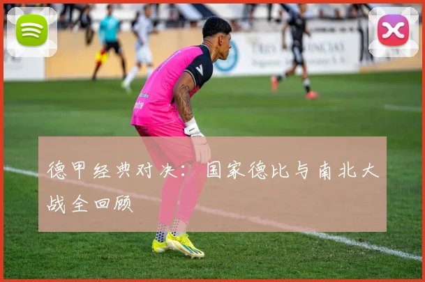 德甲经典对决：国家德比与南北大战全回顾