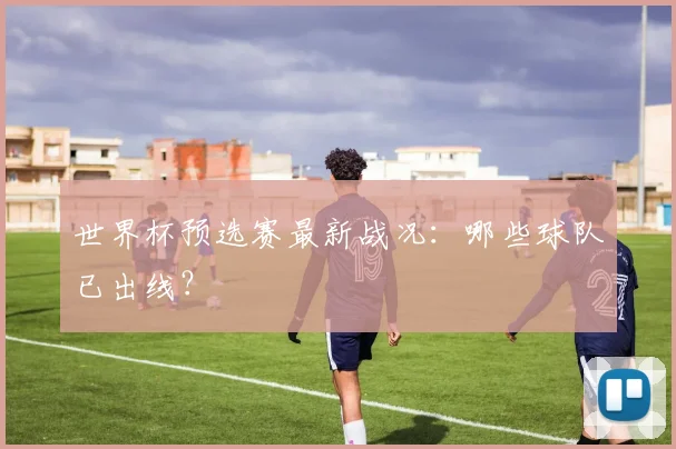 世界杯预选赛最新战况：哪些球队已出线？