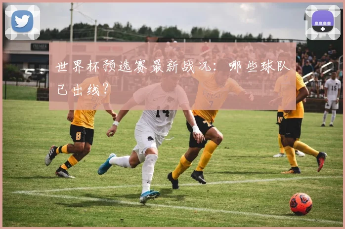 世界杯预选赛最新战况：哪些球队已出线？